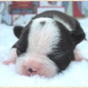 Meet your Posher, Meghan